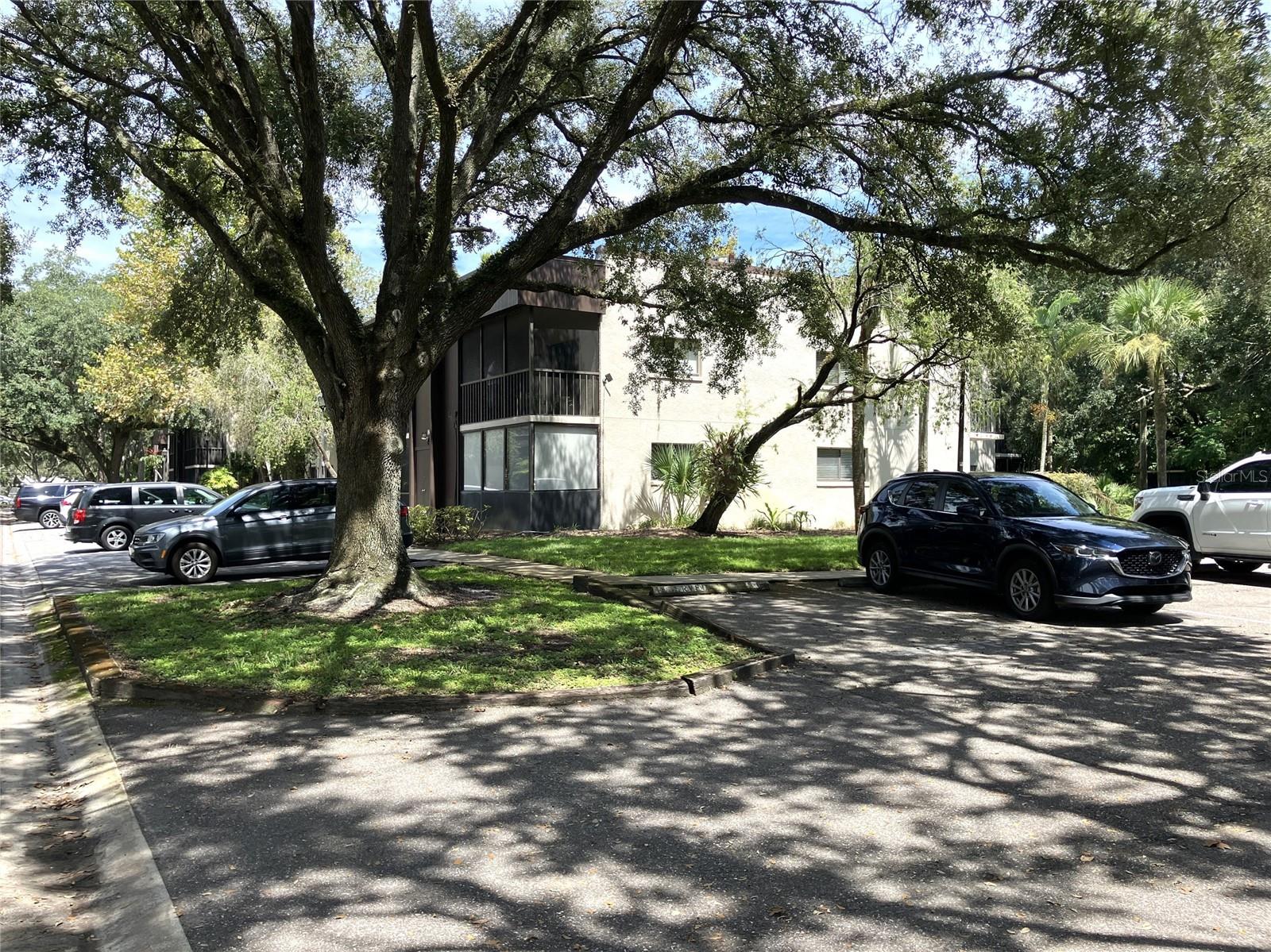 11703 Raintree Village Boulevard, FL