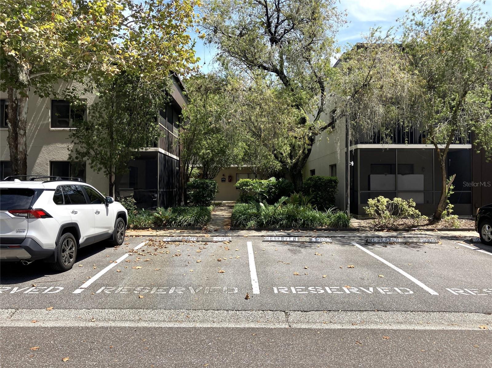 11703 Raintree Village Boulevard, FL