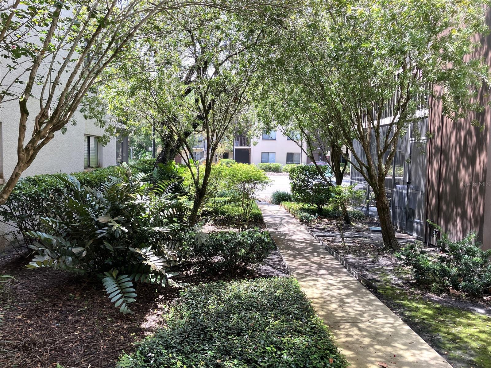 11703 Raintree Village Boulevard, FL