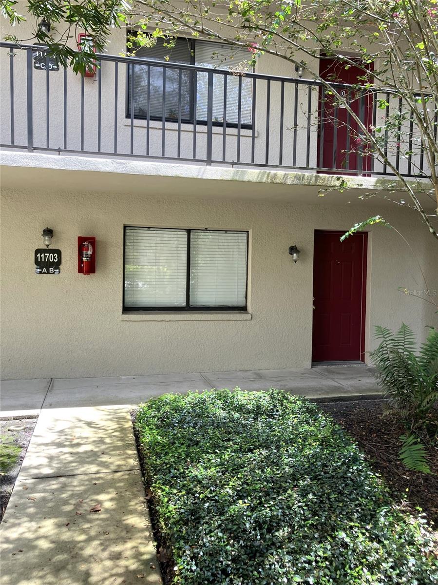 11703 Raintree Village Boulevard, FL