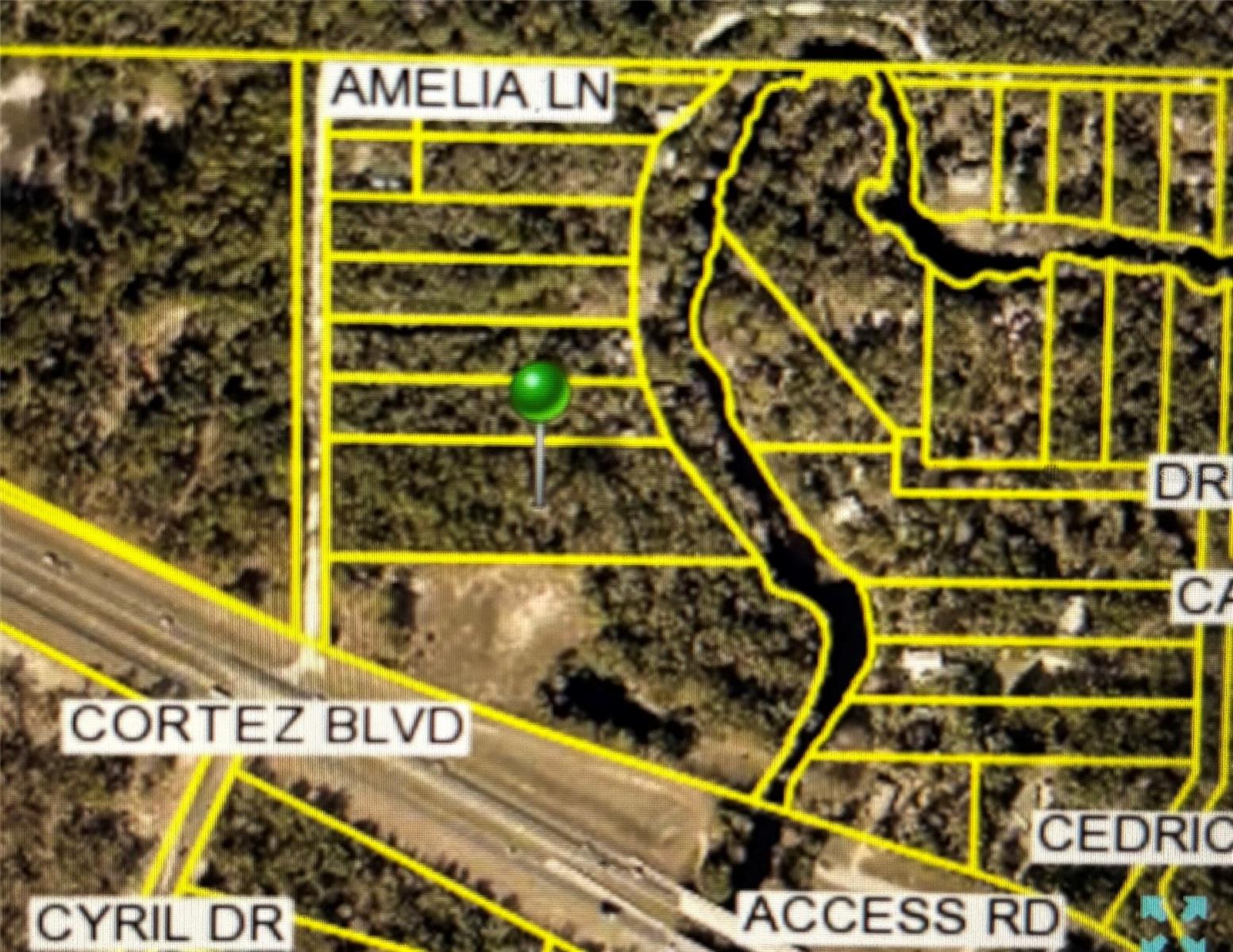 Amelia Lane, FL