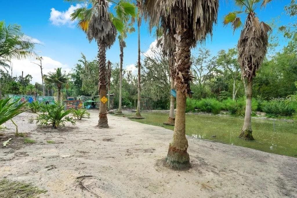 805 Baron Road, FL