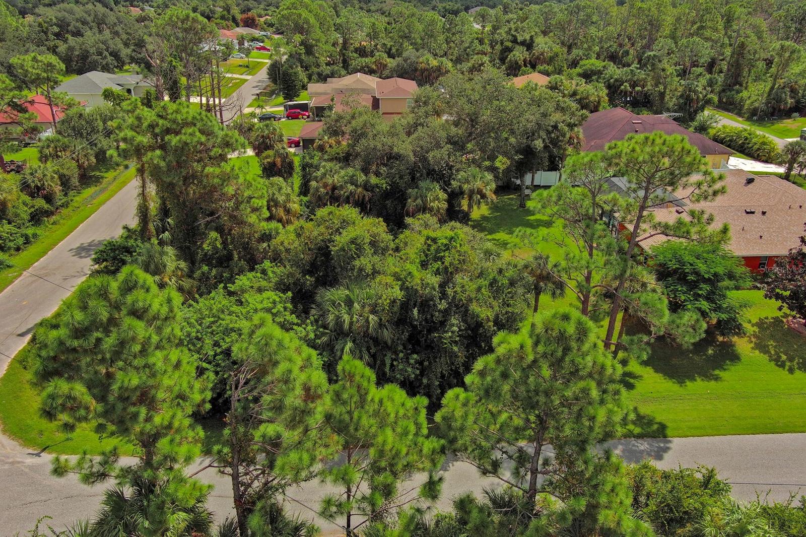 Volger Lane, FL