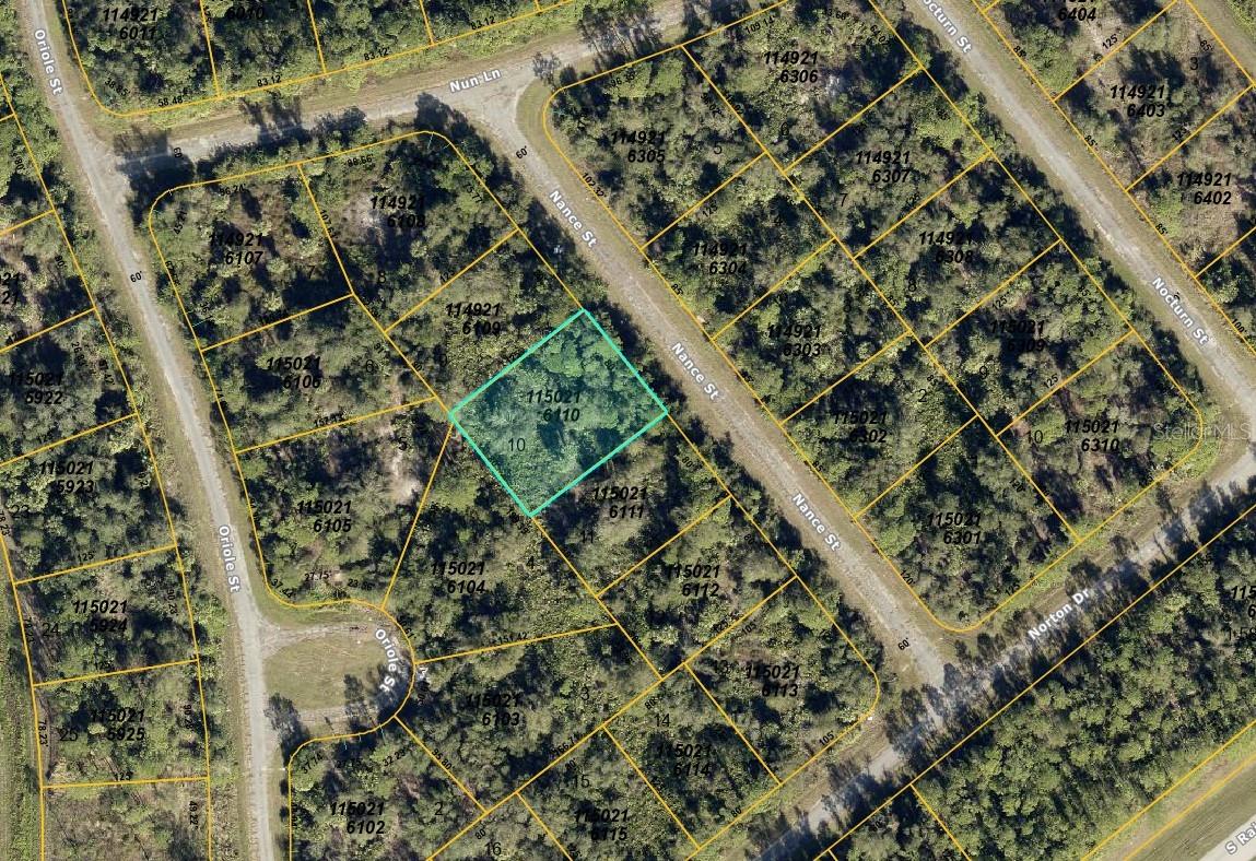 Nance Street, FL