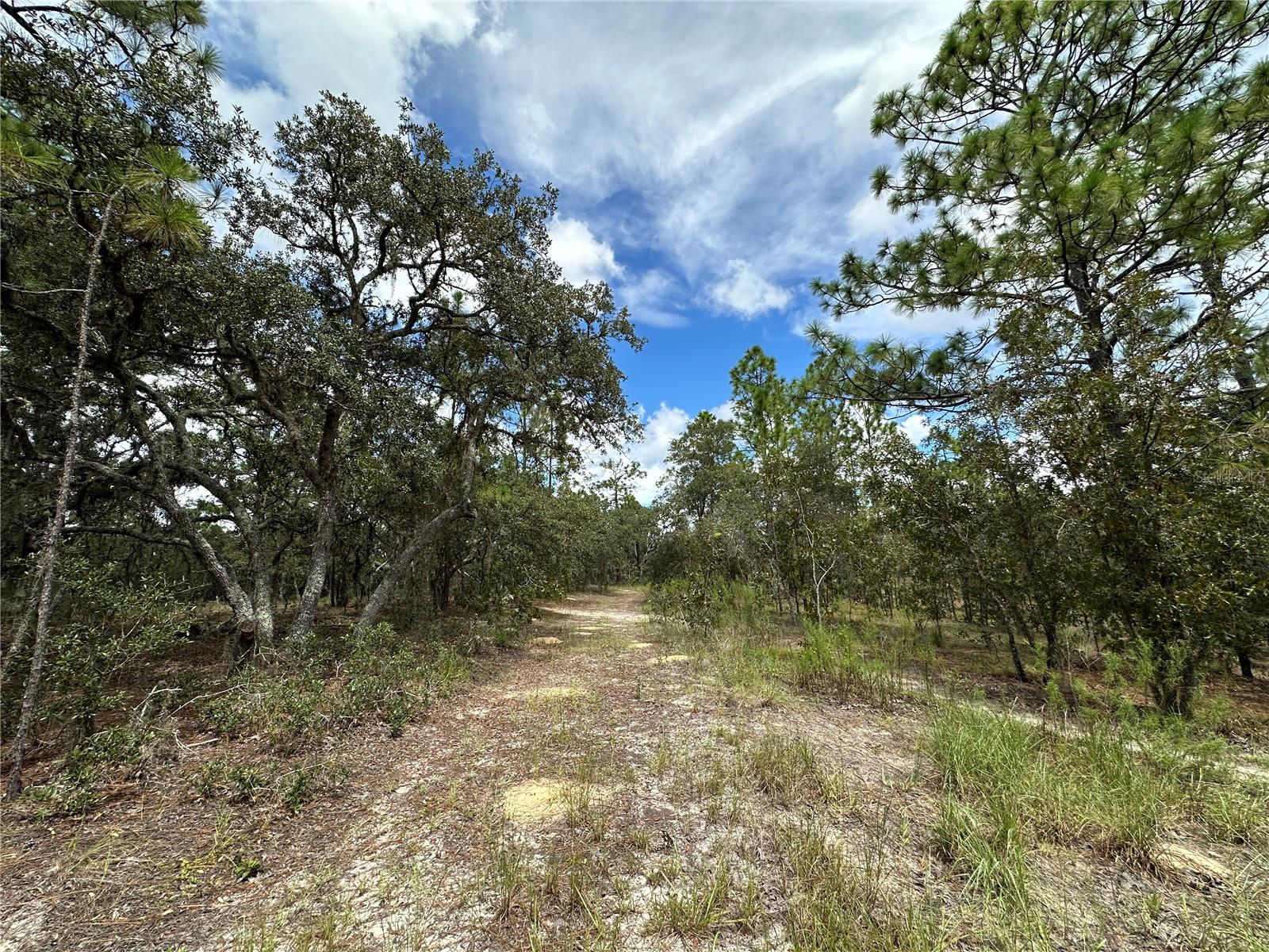 Tbd 105th Lane, FL