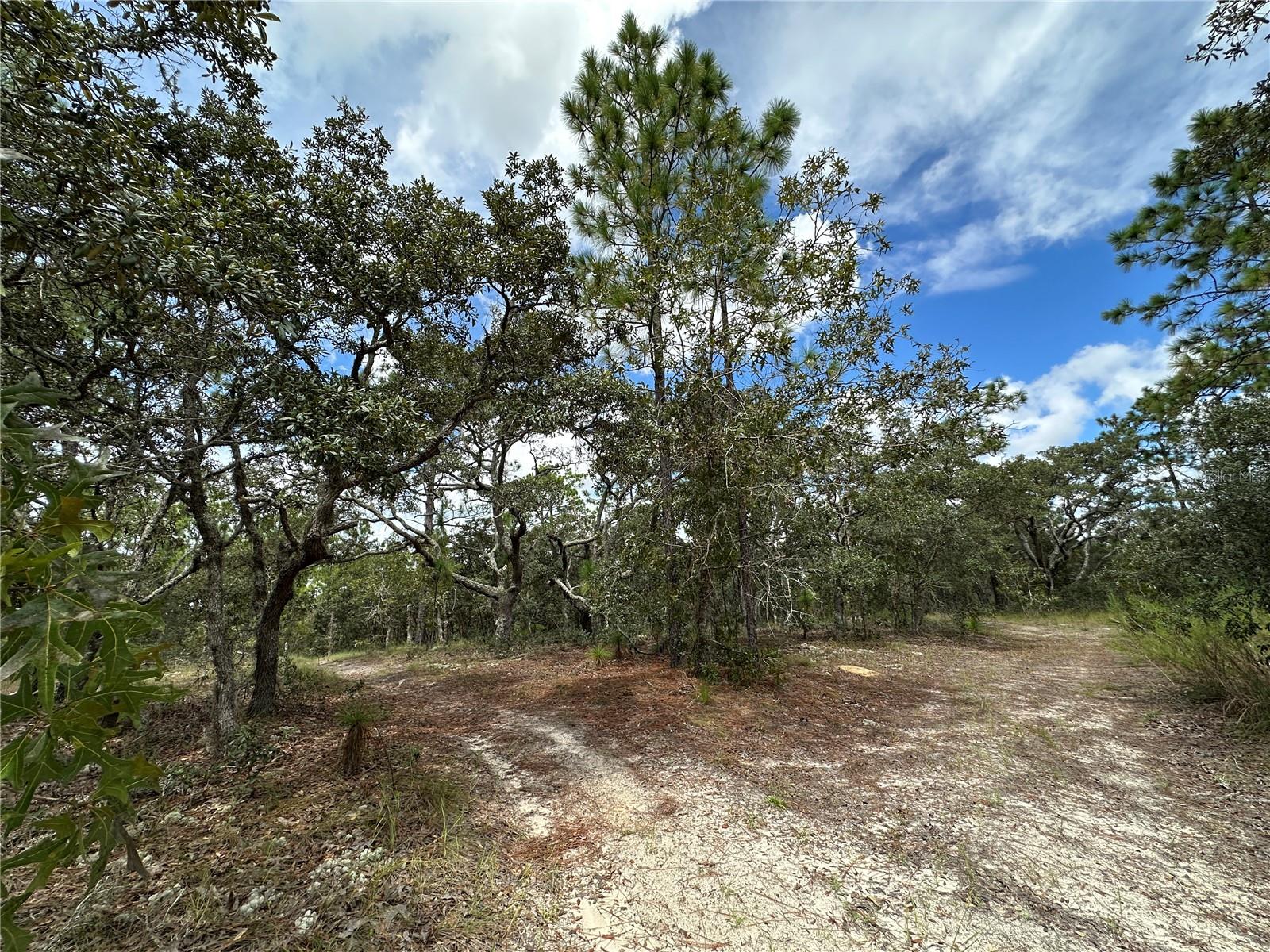 Tbd 105th Lane, FL