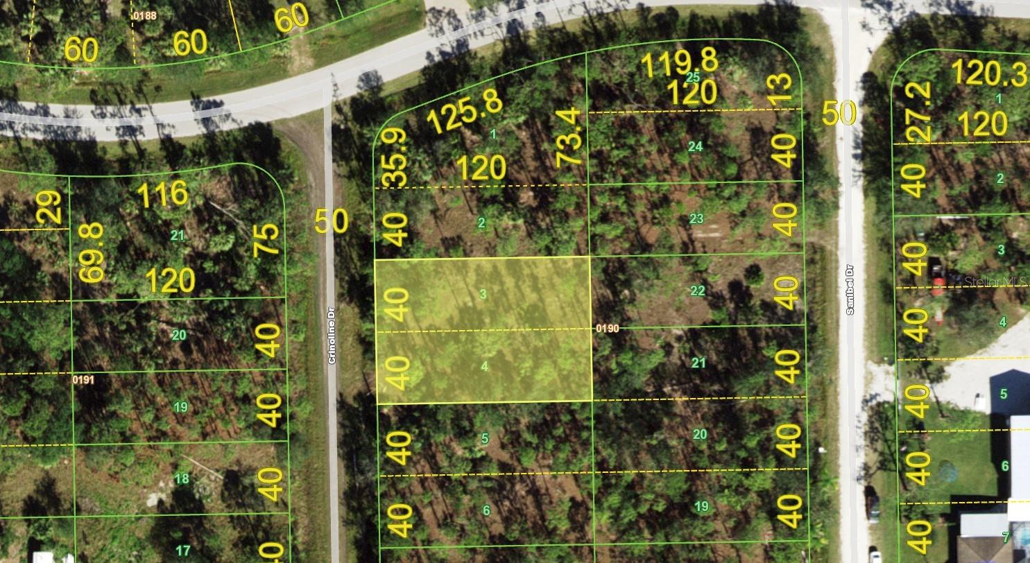13036 Crinoline Drive, FL