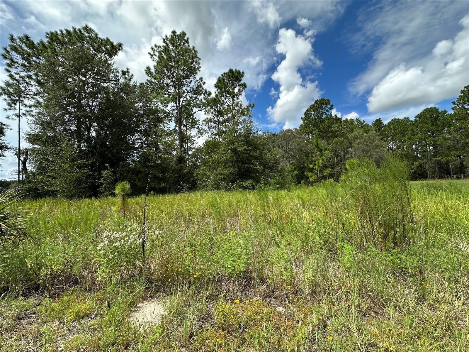 Tbd 130th Court, FL