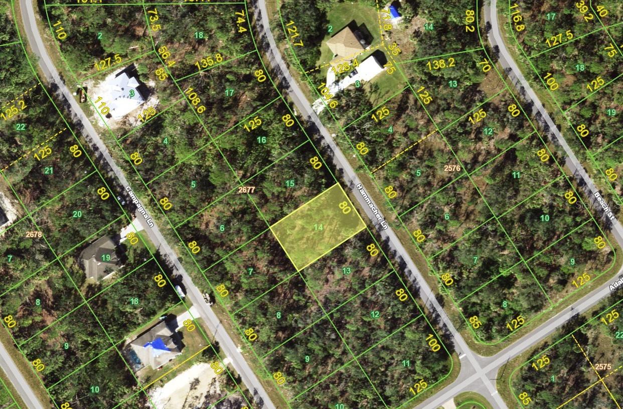 1177 Hammacher Lane, FL