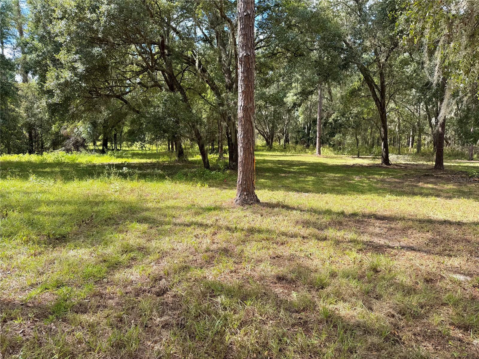 Bonsmara Drive, FL