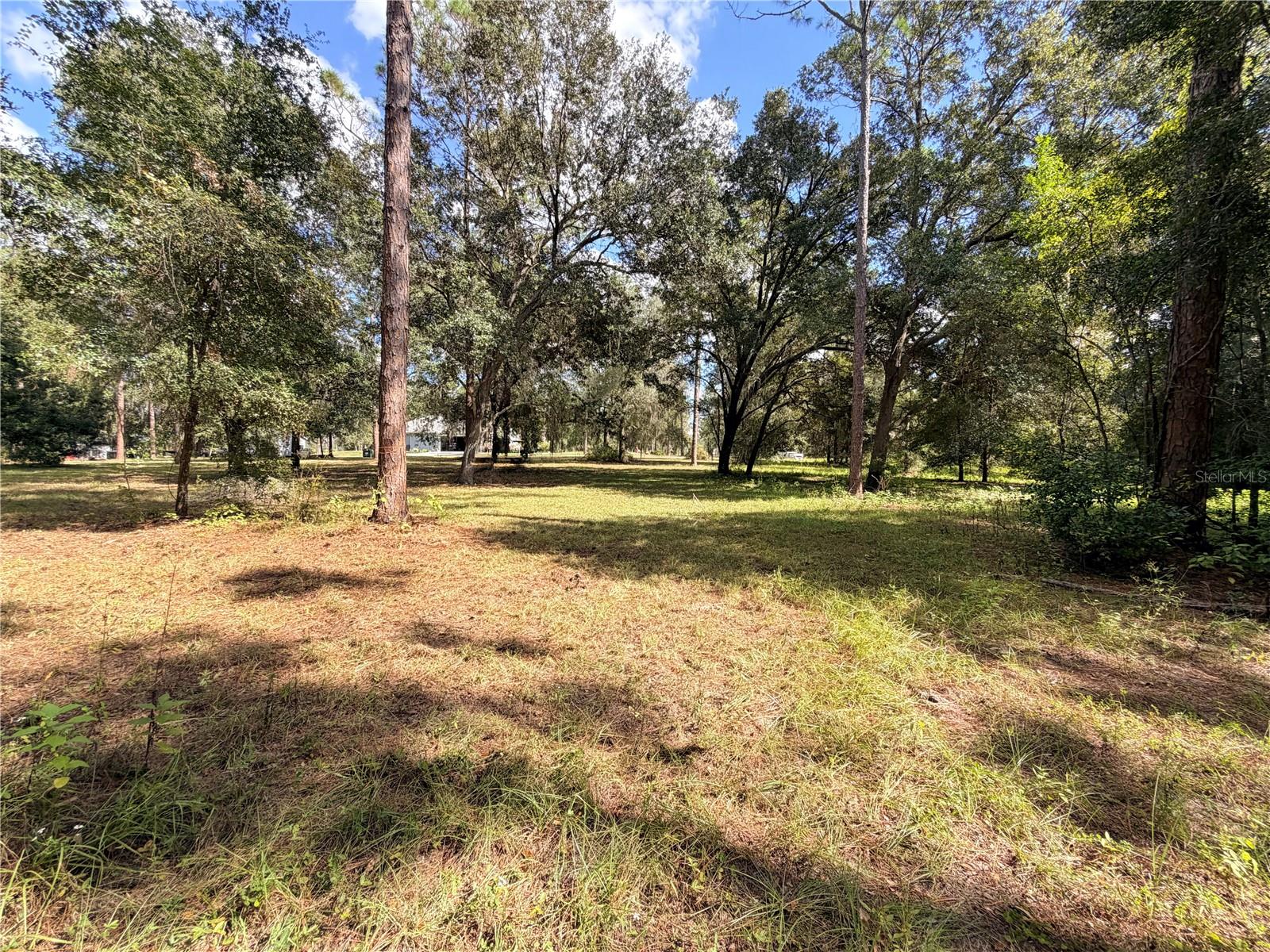 Bonsmara Drive, FL