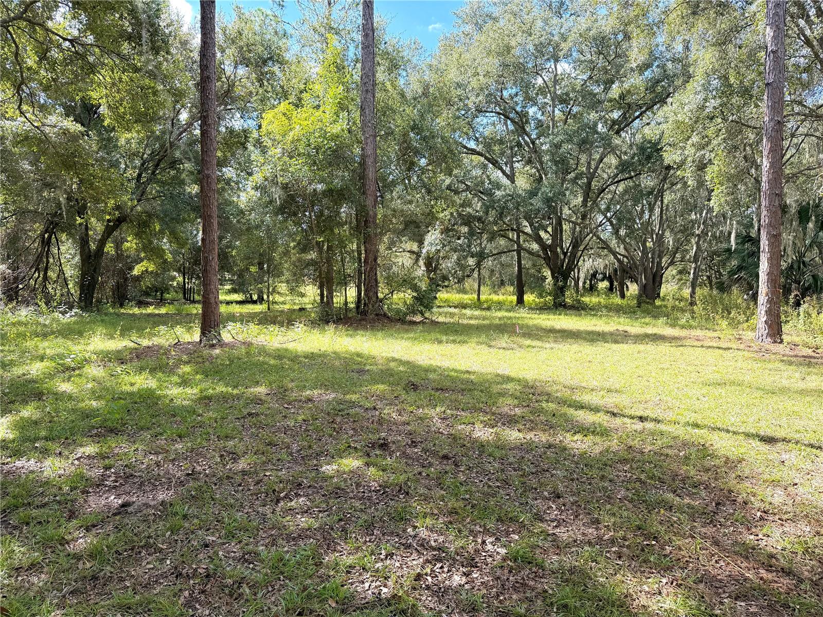 Bonsmara Drive, FL