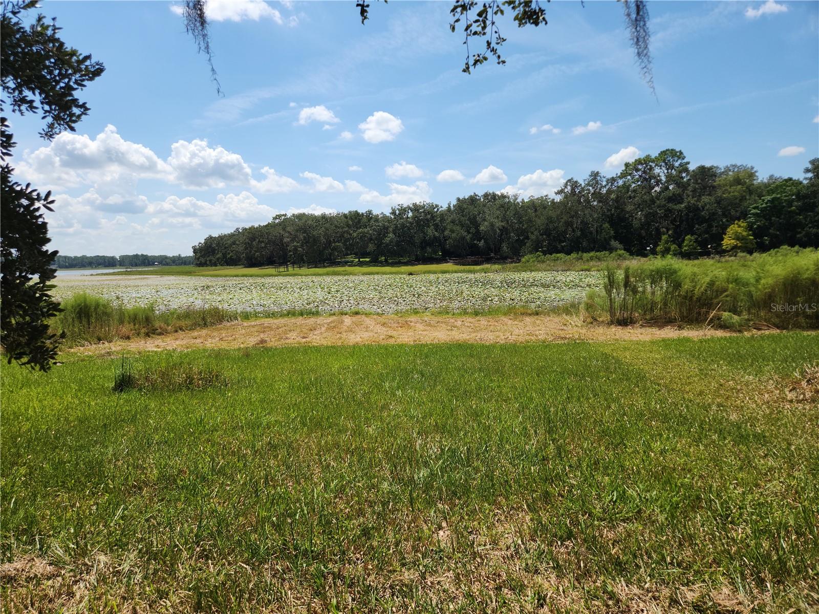 Lot 53 Shorewood Drive, FL