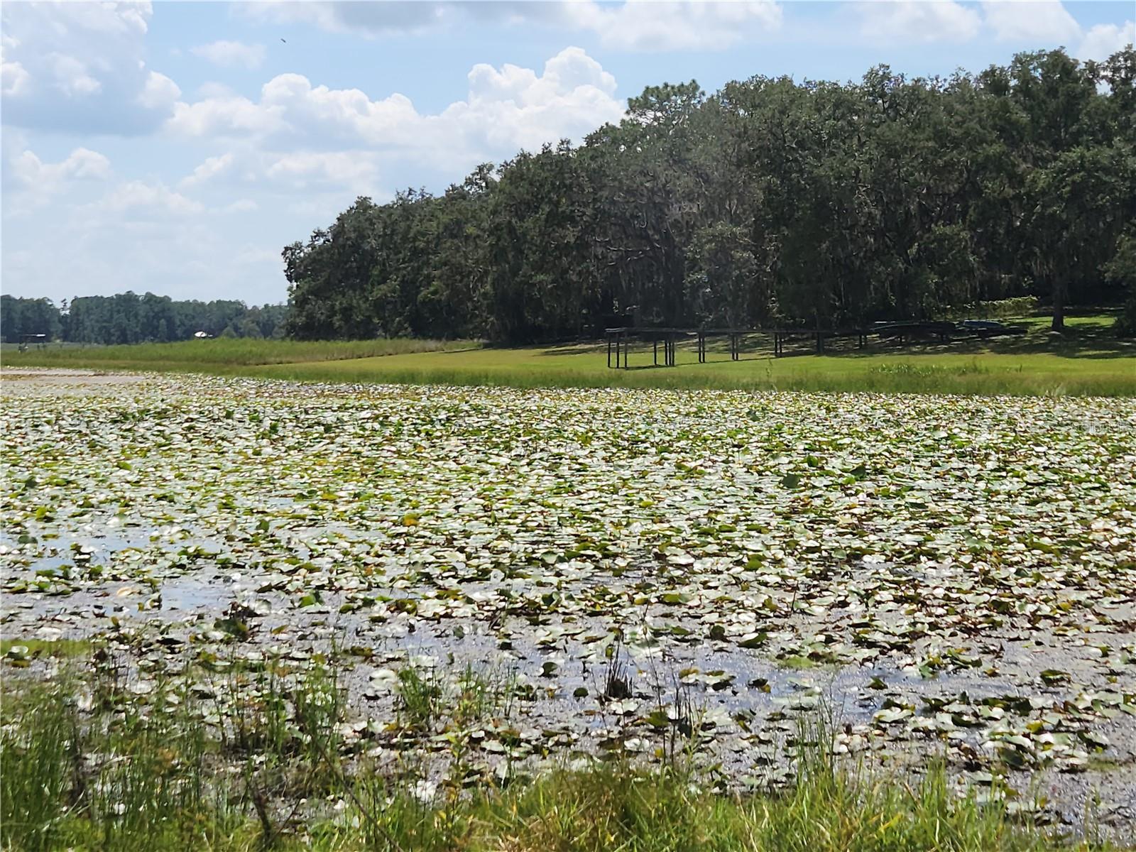 Lot 53 Shorewood Drive, FL