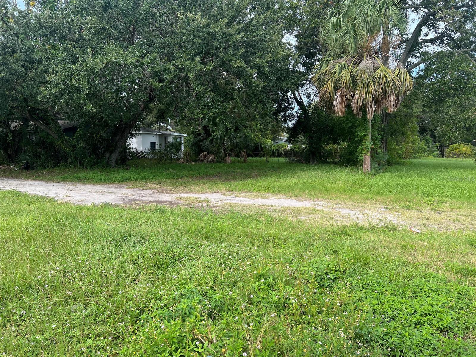 Martin Luther King Jr Avenue, FL
