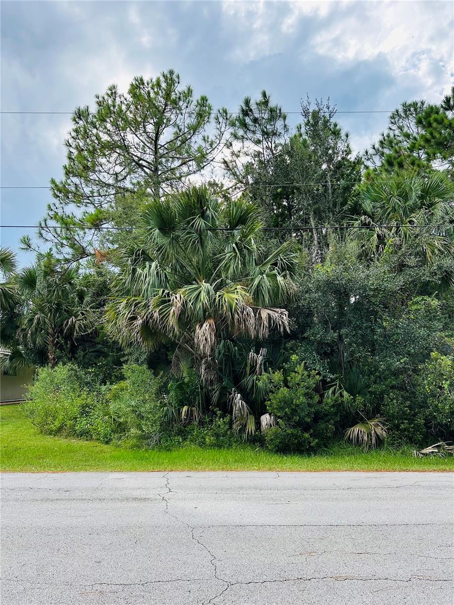 3 Seattle Trail, FL