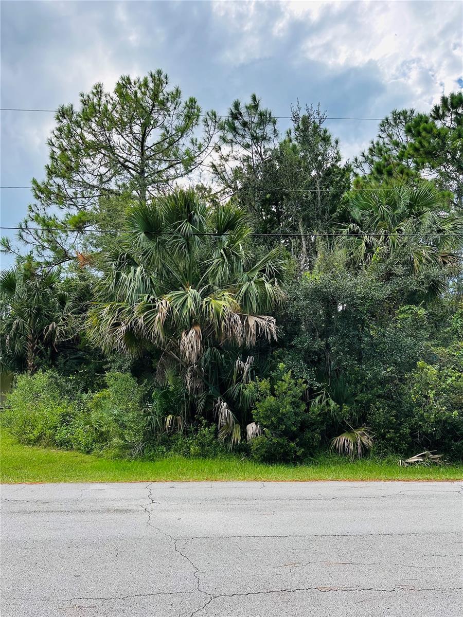 3 Seattle Trail, FL
