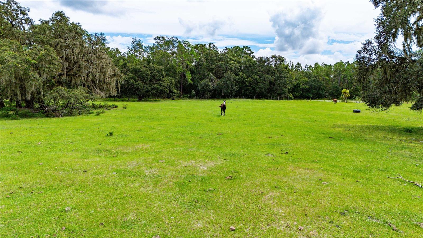 Pinkston Road, FL