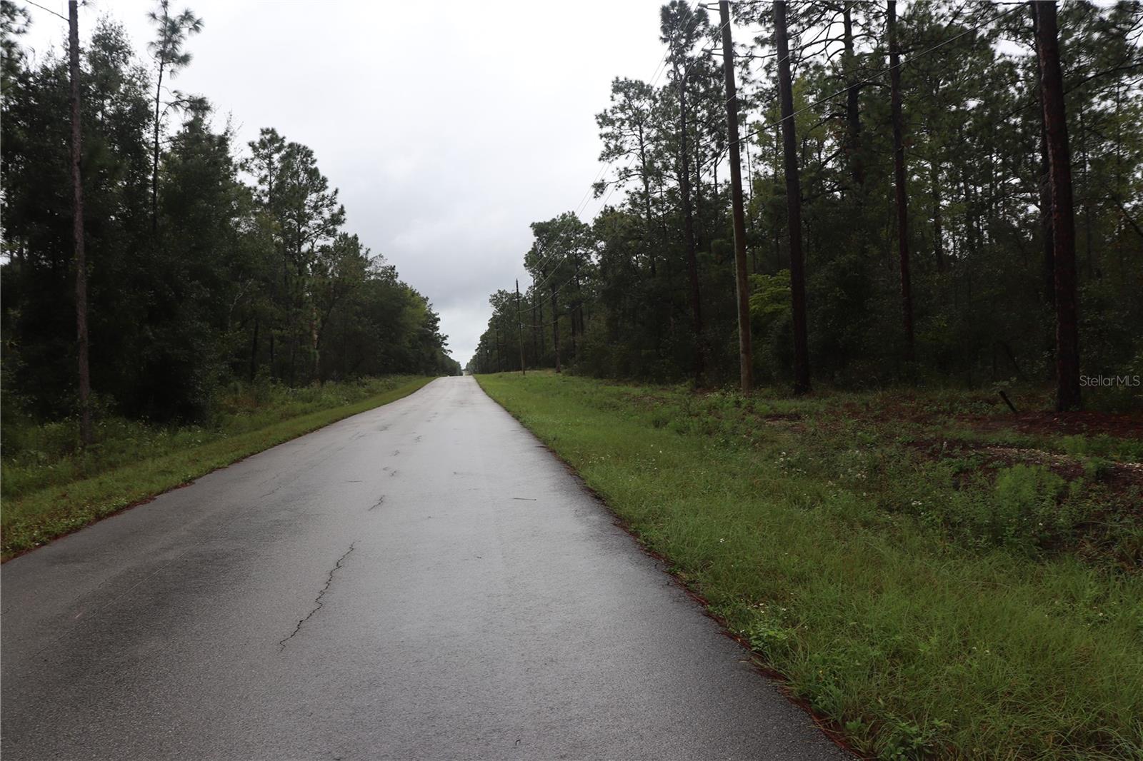 00 Beuna Vista Road, FL