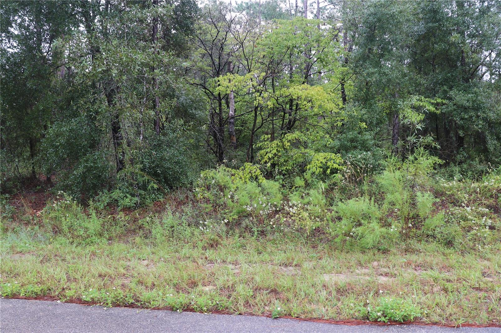 00 Beuna Vista Road, FL