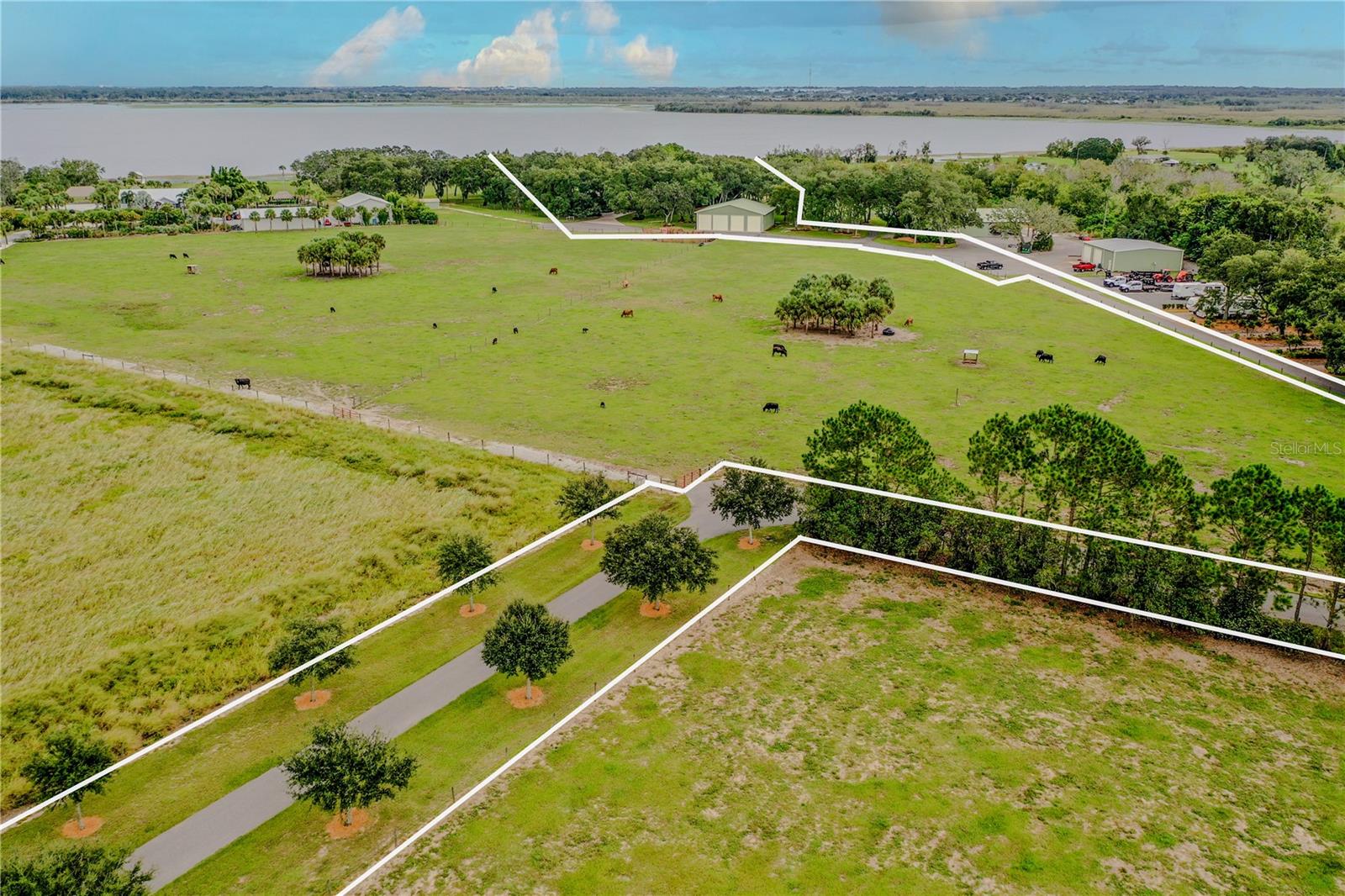8006 Lake Lowery Road, FL