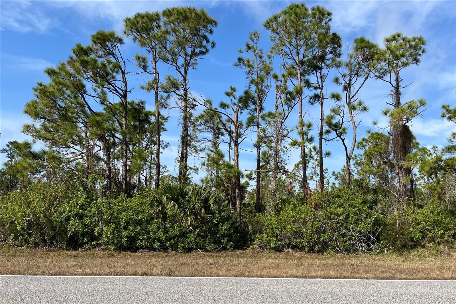 14767 San Domingo Boulevard, FL