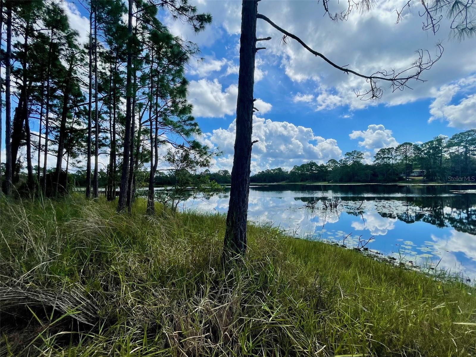 42318 Lake Road, FL