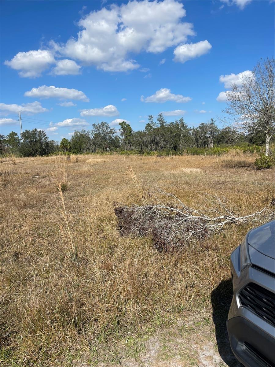 Hammermill Avenue, FL