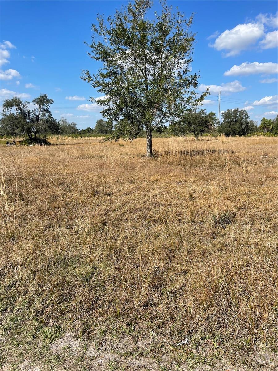 Hammermill Avenue, FL