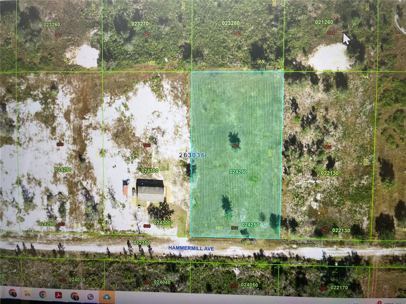 Hammermill Avenue, FL