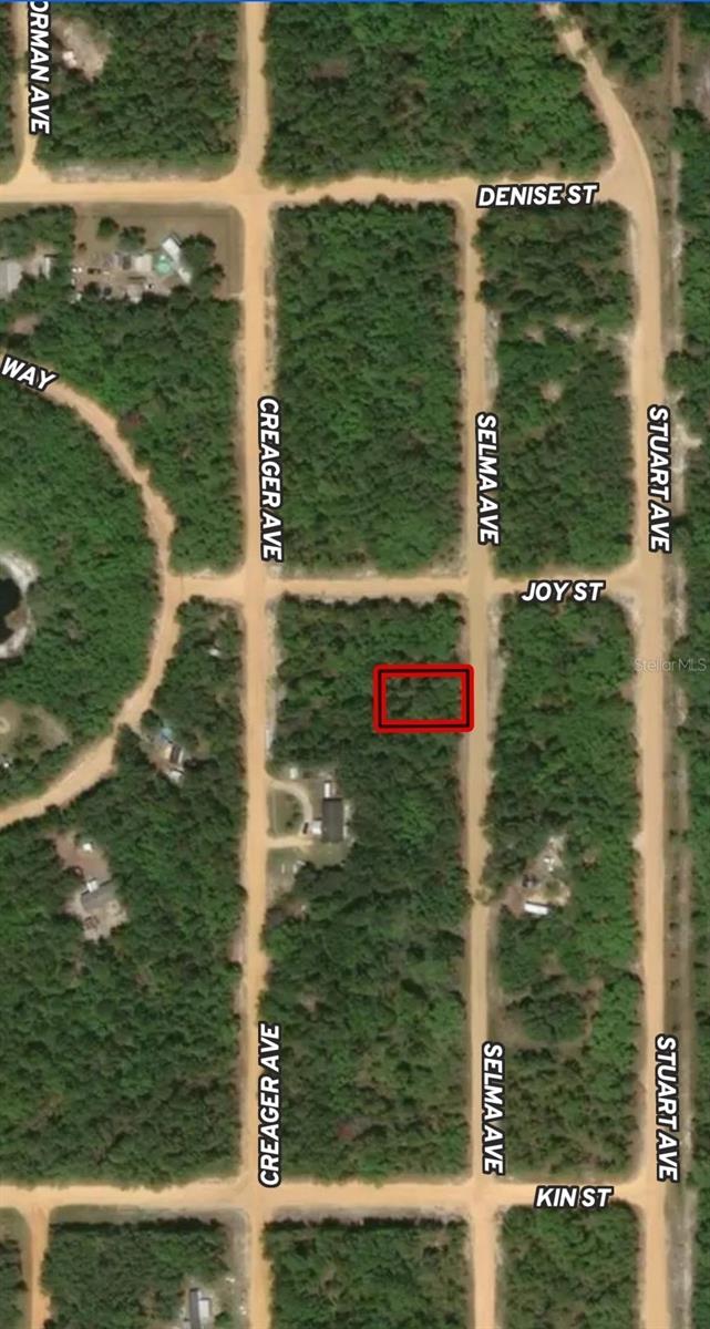 Lot 19 Selma Avenue, FL