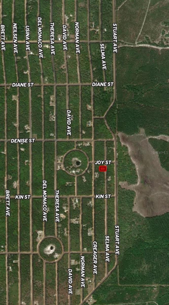 Lot 19 Selma Avenue, FL