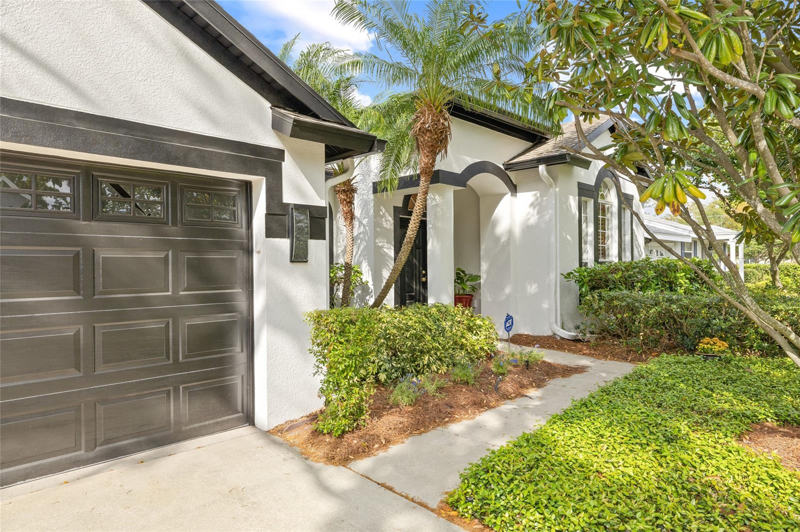3709 Horatio Street, FL