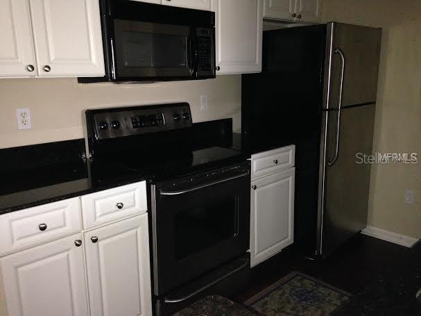 14316 Fredricksburg Drive, FL