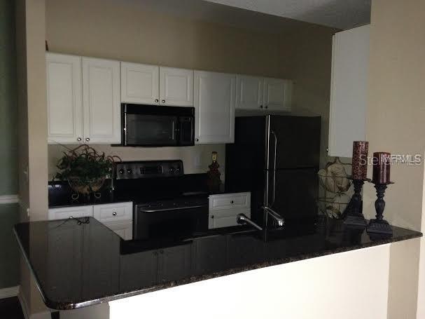 14316 Fredricksburg Drive, FL
