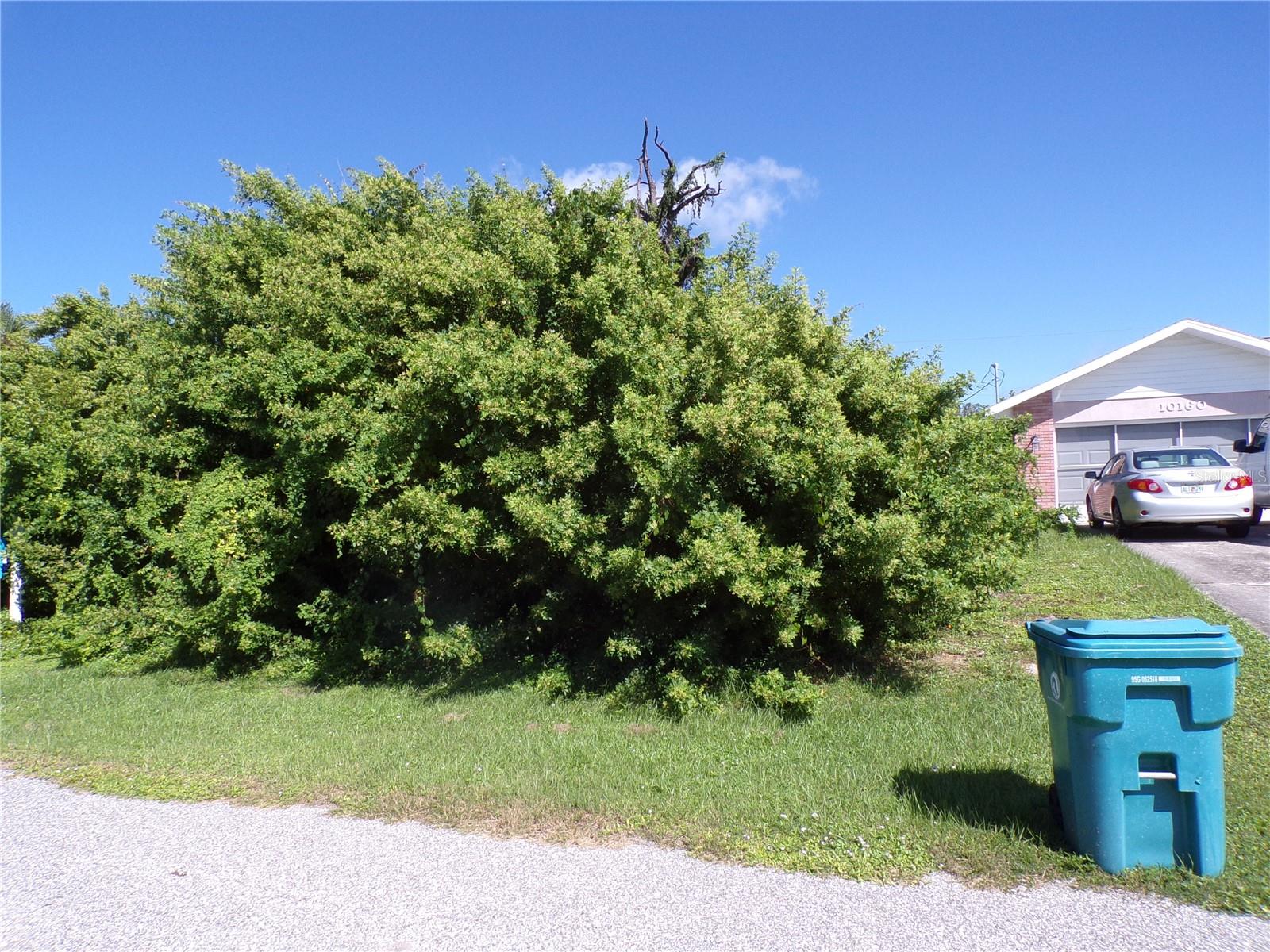 10152 Willowood Avenue, FL