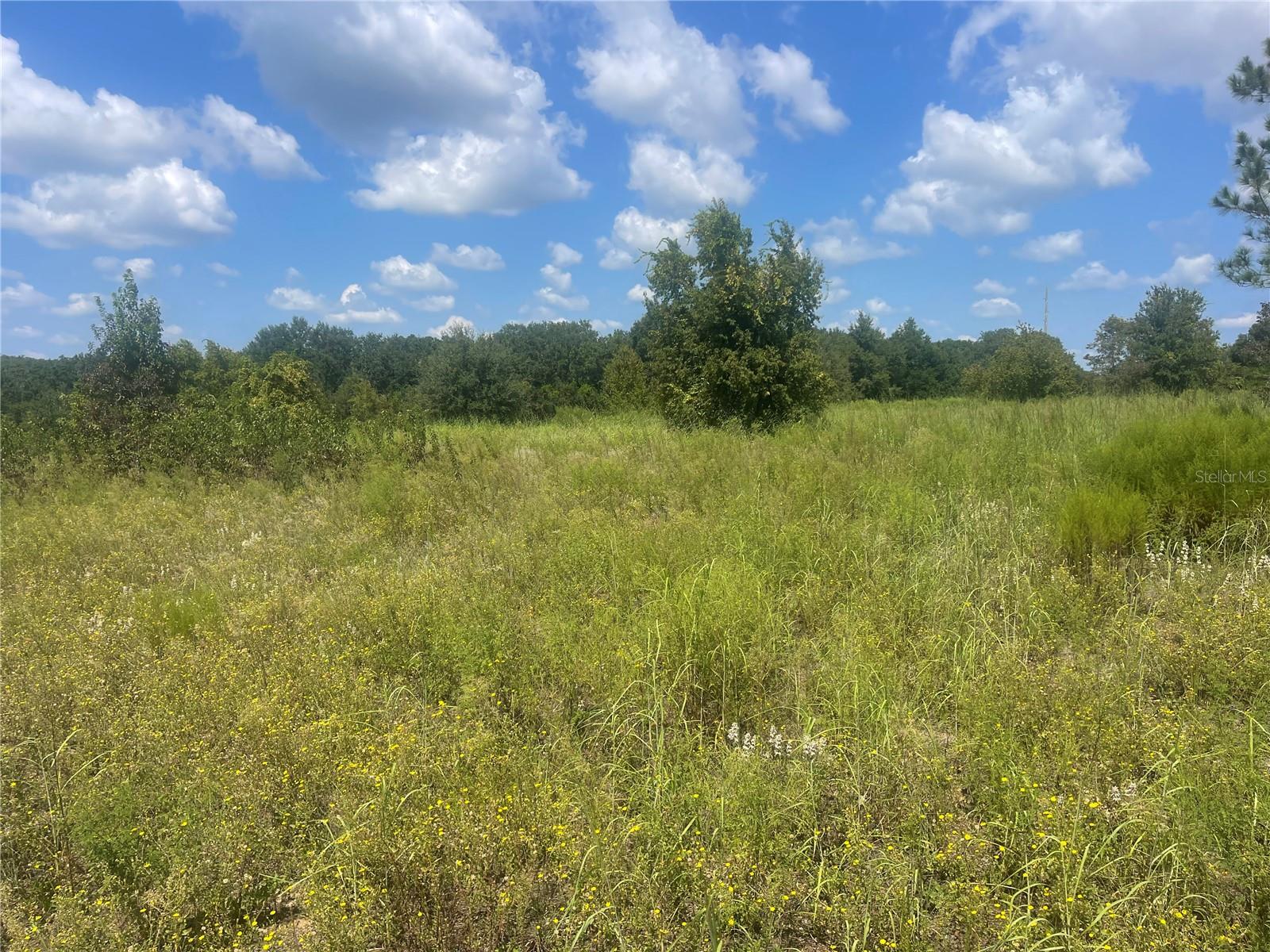 Tbd Keene Road, FL