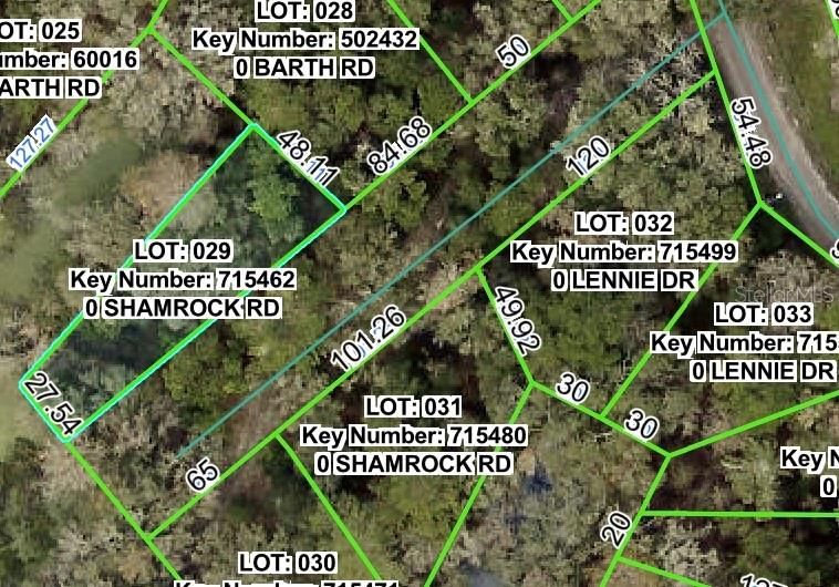 Shamrock Road, FL