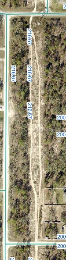 Snowy Plover Avenue, FL