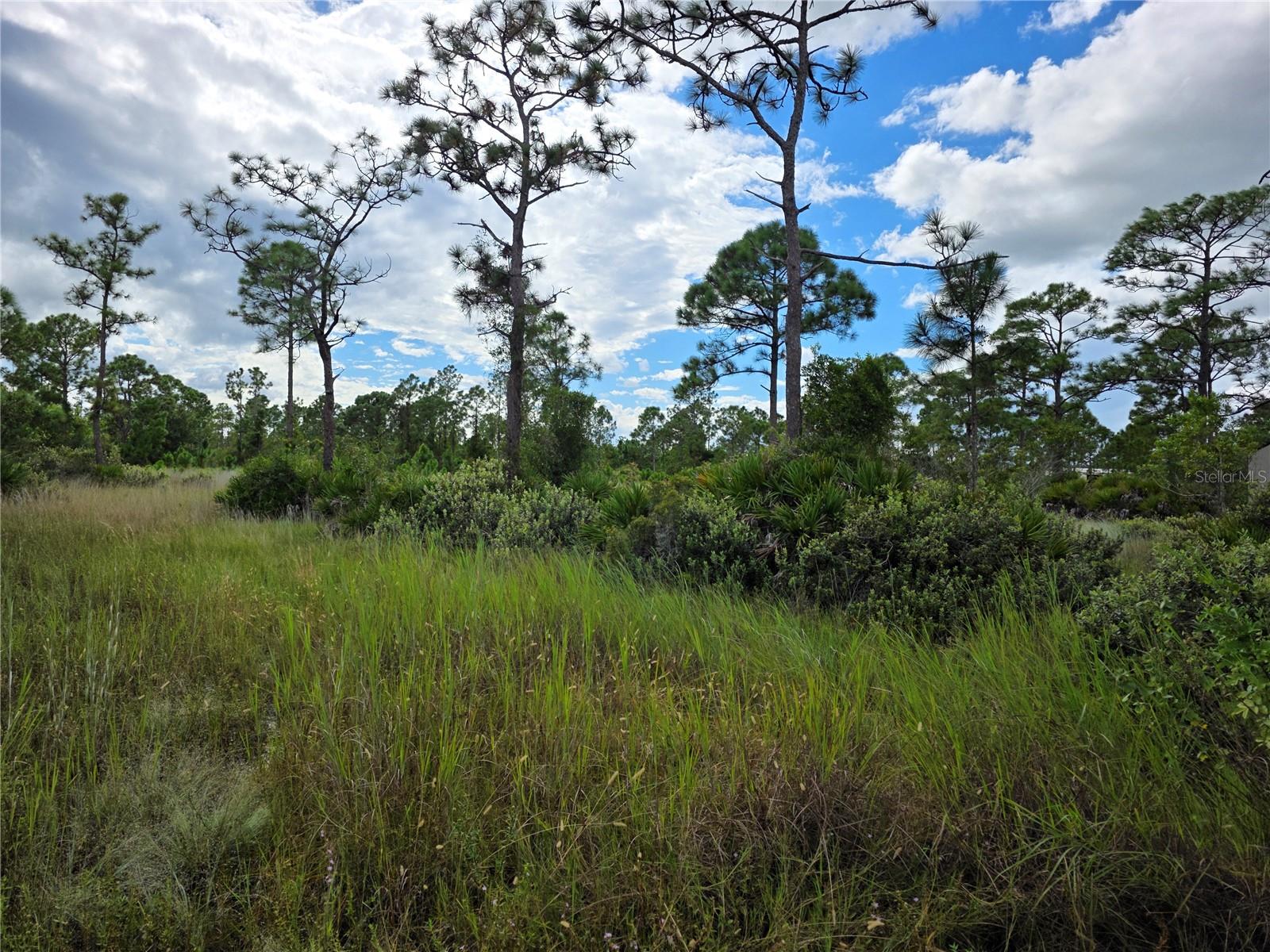 6453 Sweden Boulevard, FL