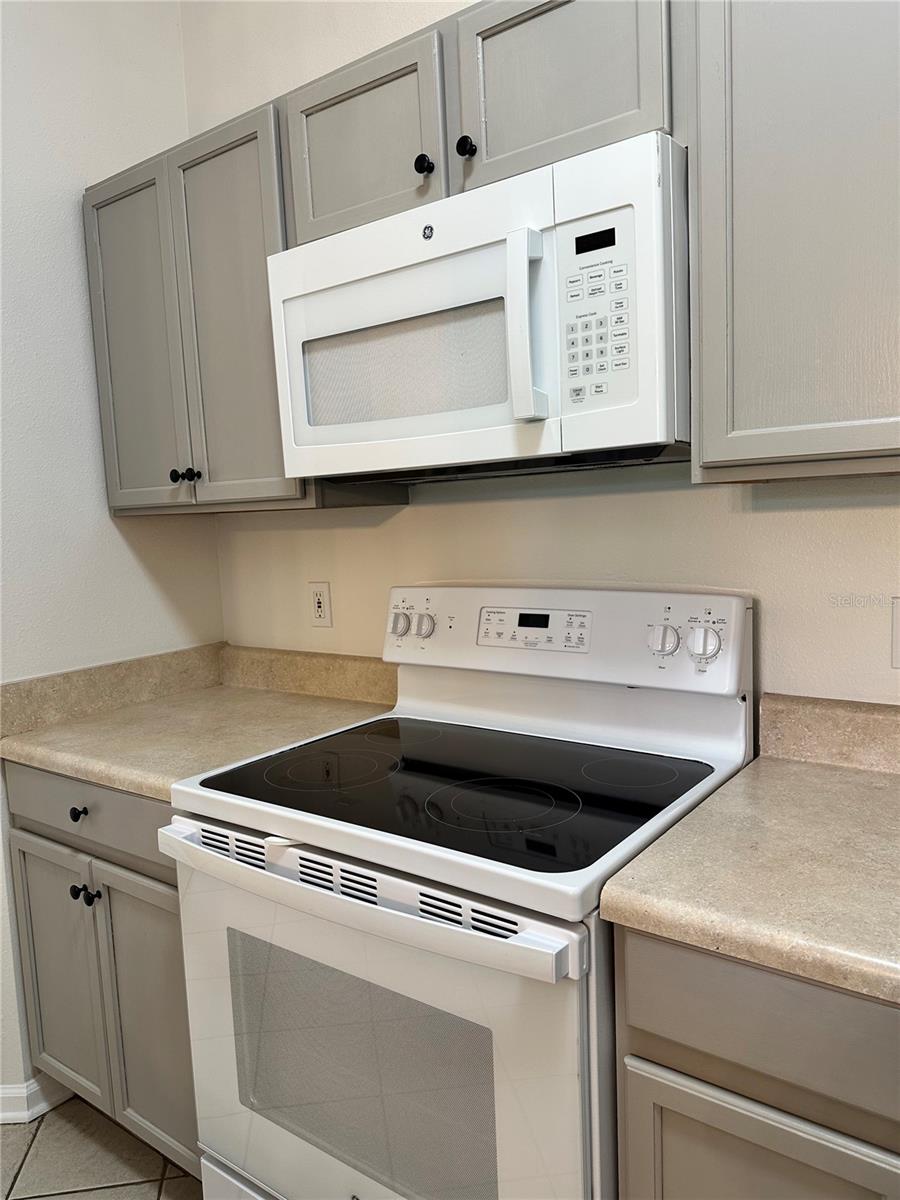 13584 Turtle Marsh Loop, FL