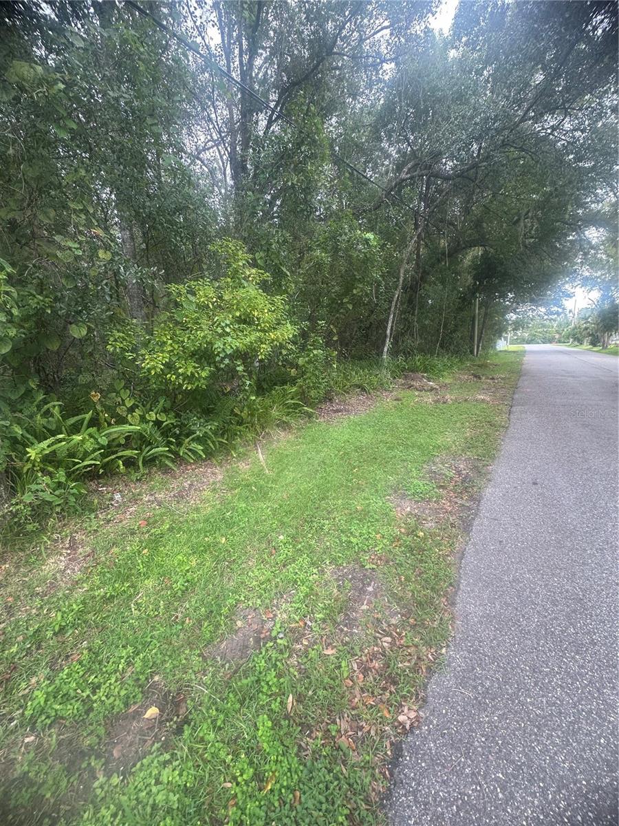6117 Cornelia Avenue, FL