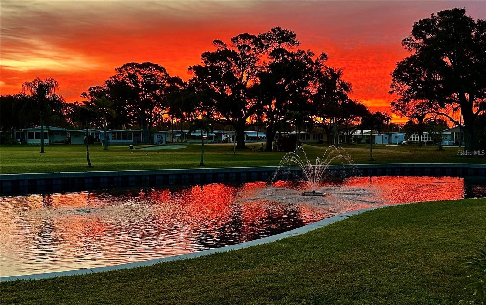 1100 Belcher Road, FL