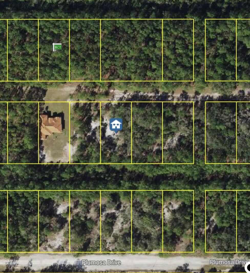 Orchid Drive, FL