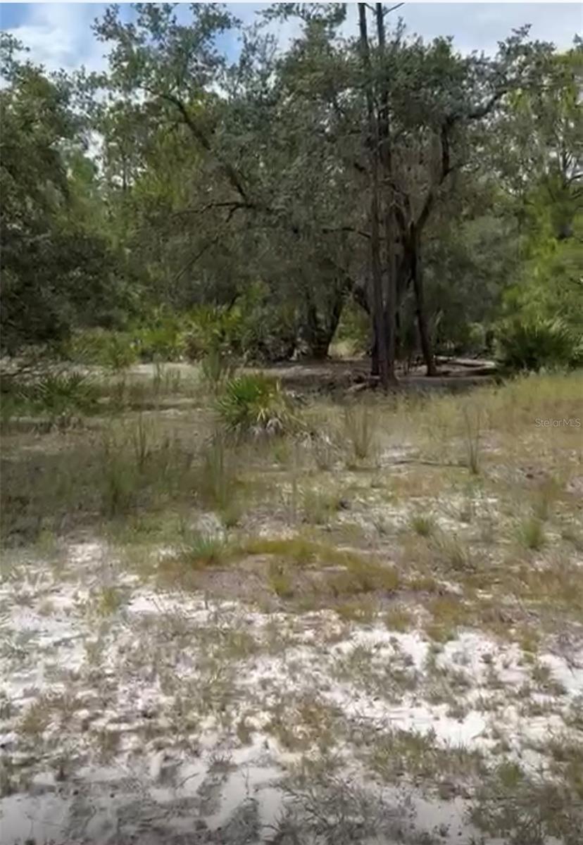 Orchid Drive, FL