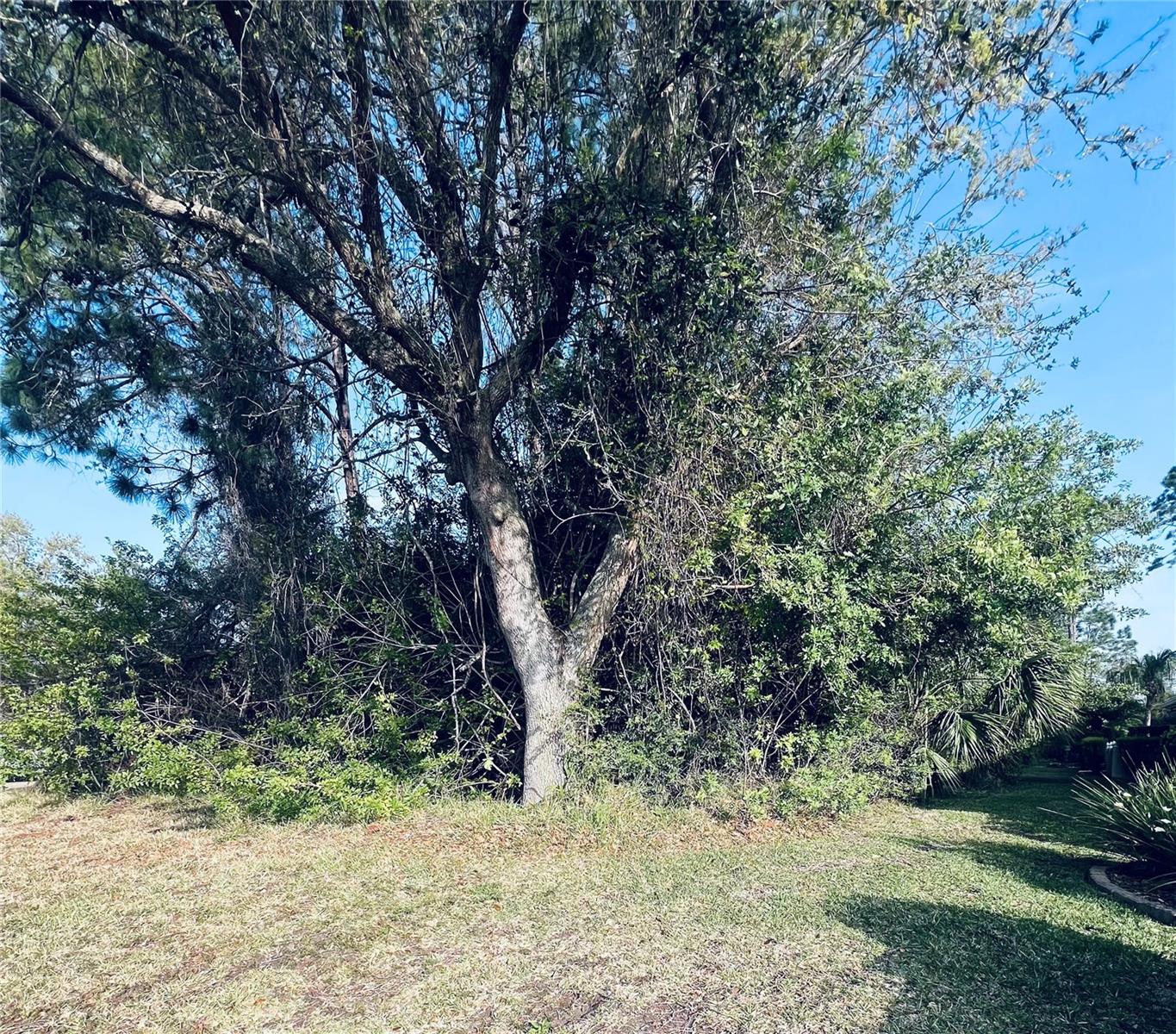 91 Emerald Lake Drive, FL