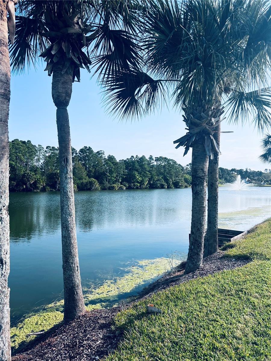 91 Emerald Lake Drive, FL