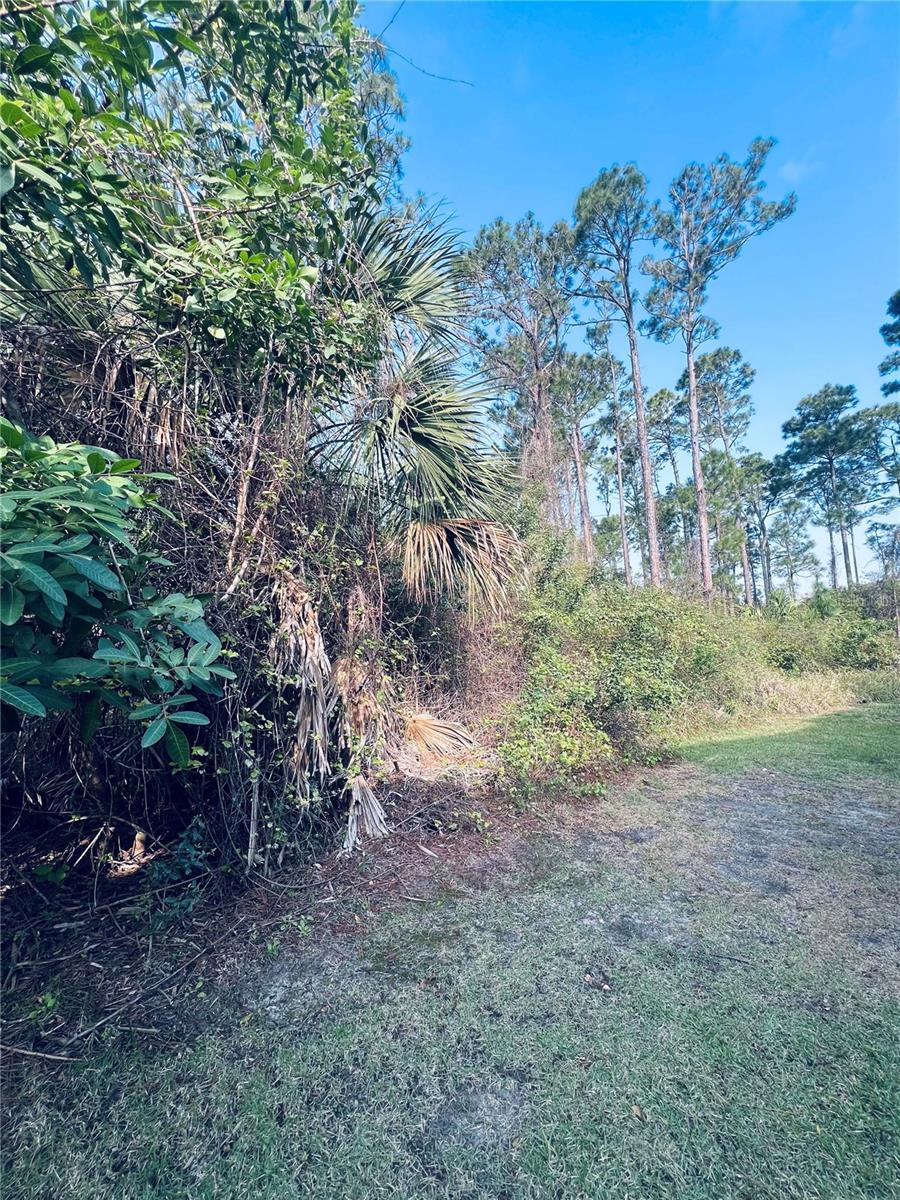 91 Emerald Lake Drive, FL