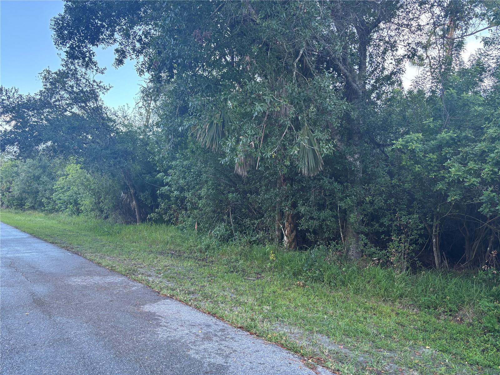 919 Phyllis Terrace, FL