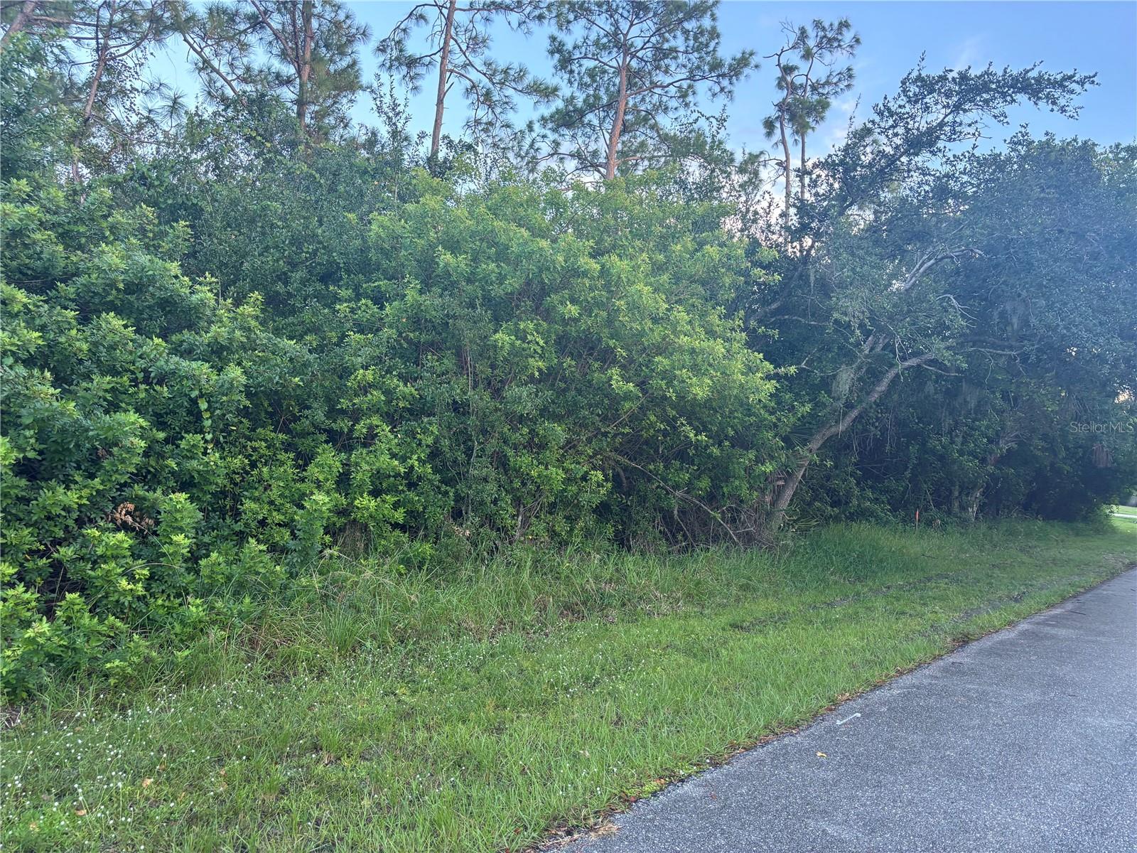 919 Phyllis Terrace, FL
